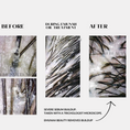 Load image into Gallery viewer, Hair and Scalp Oil Two Pack