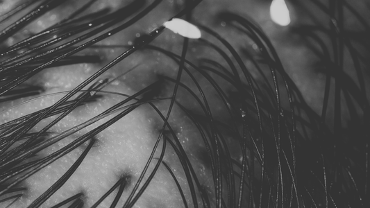 Best Way to Use Hair Oil for Hair Growth (Trichologist Tips)